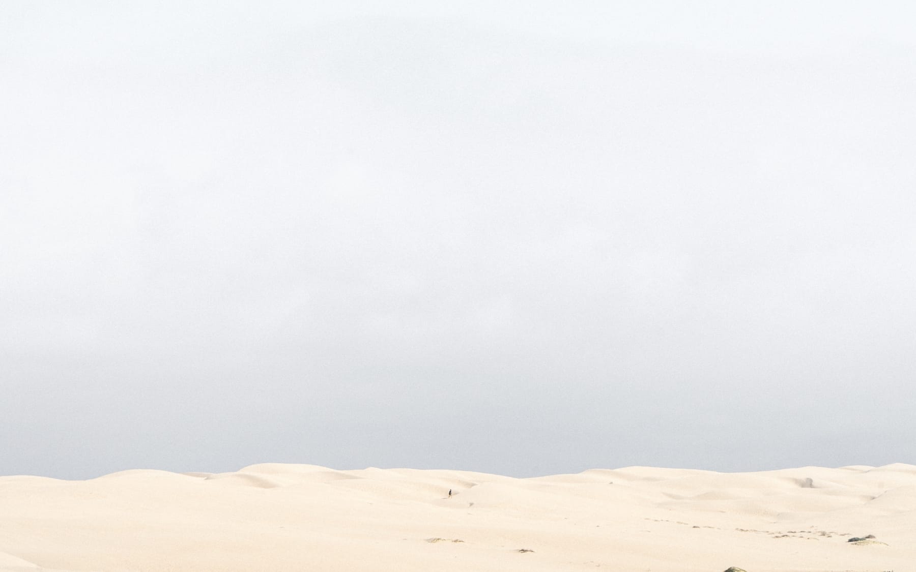 Victor Perez, Untitled