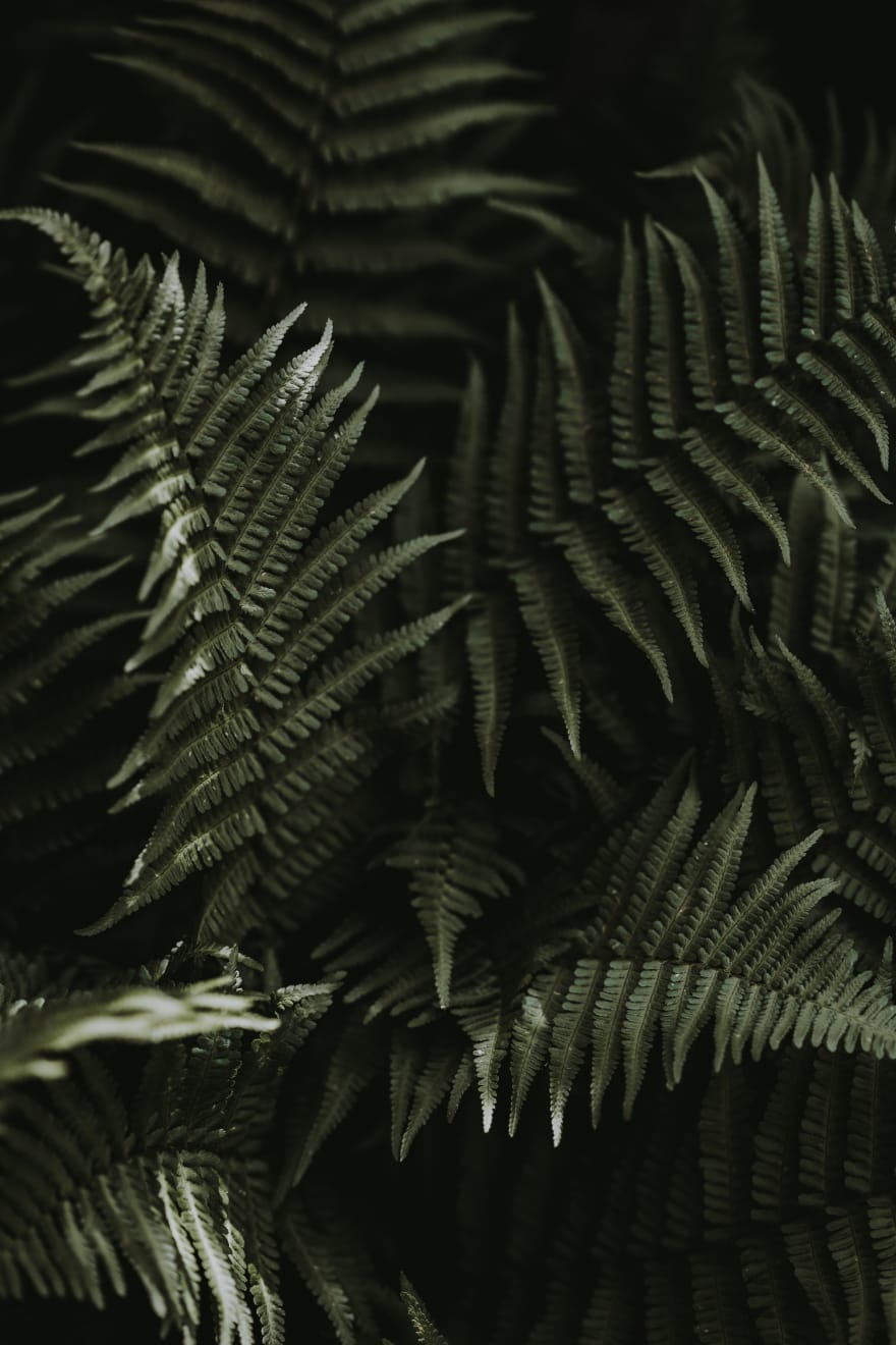 Katrina Forrest, Untitled, 2013
