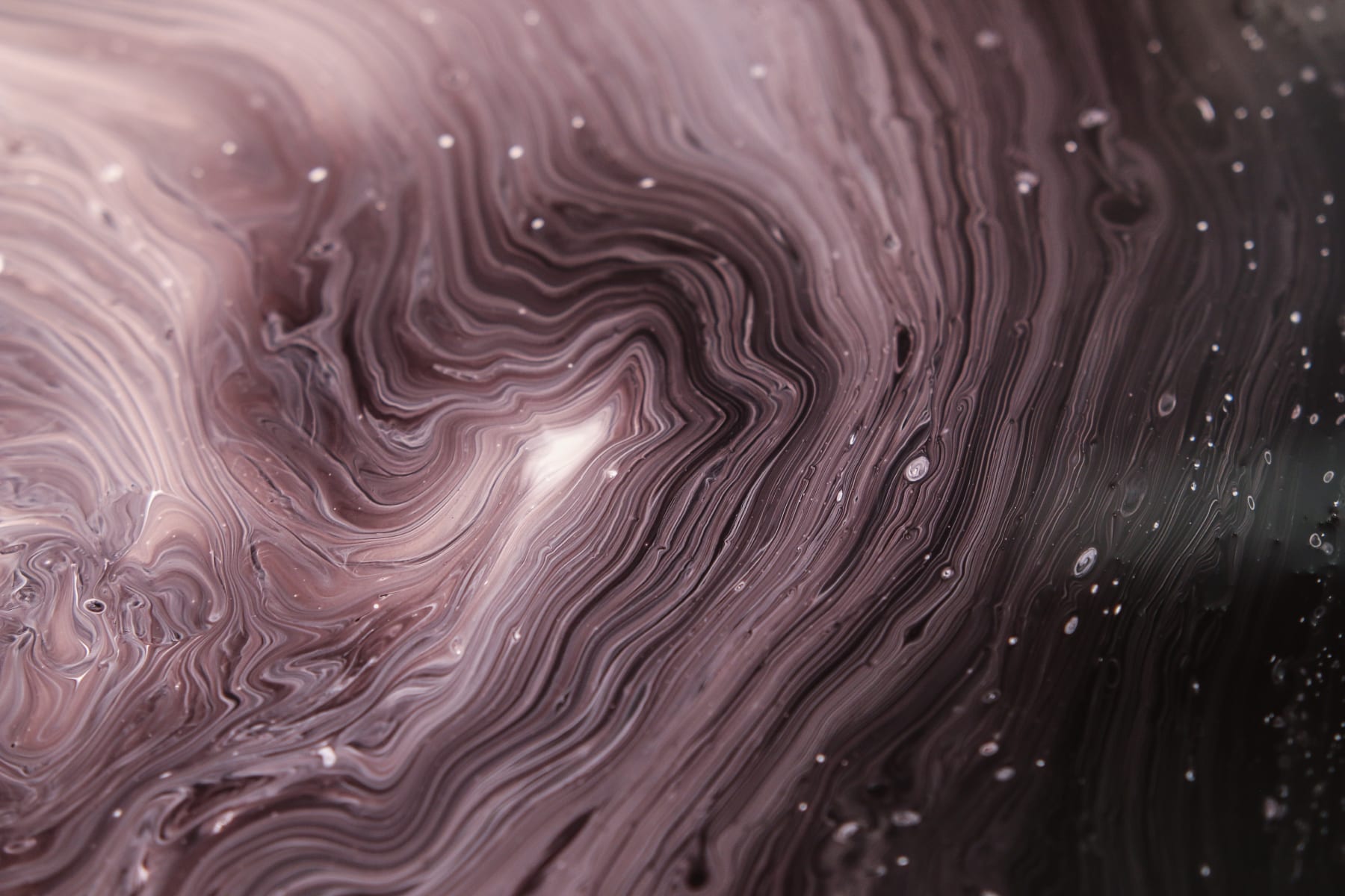 Priya Fry, Untitled, 2011