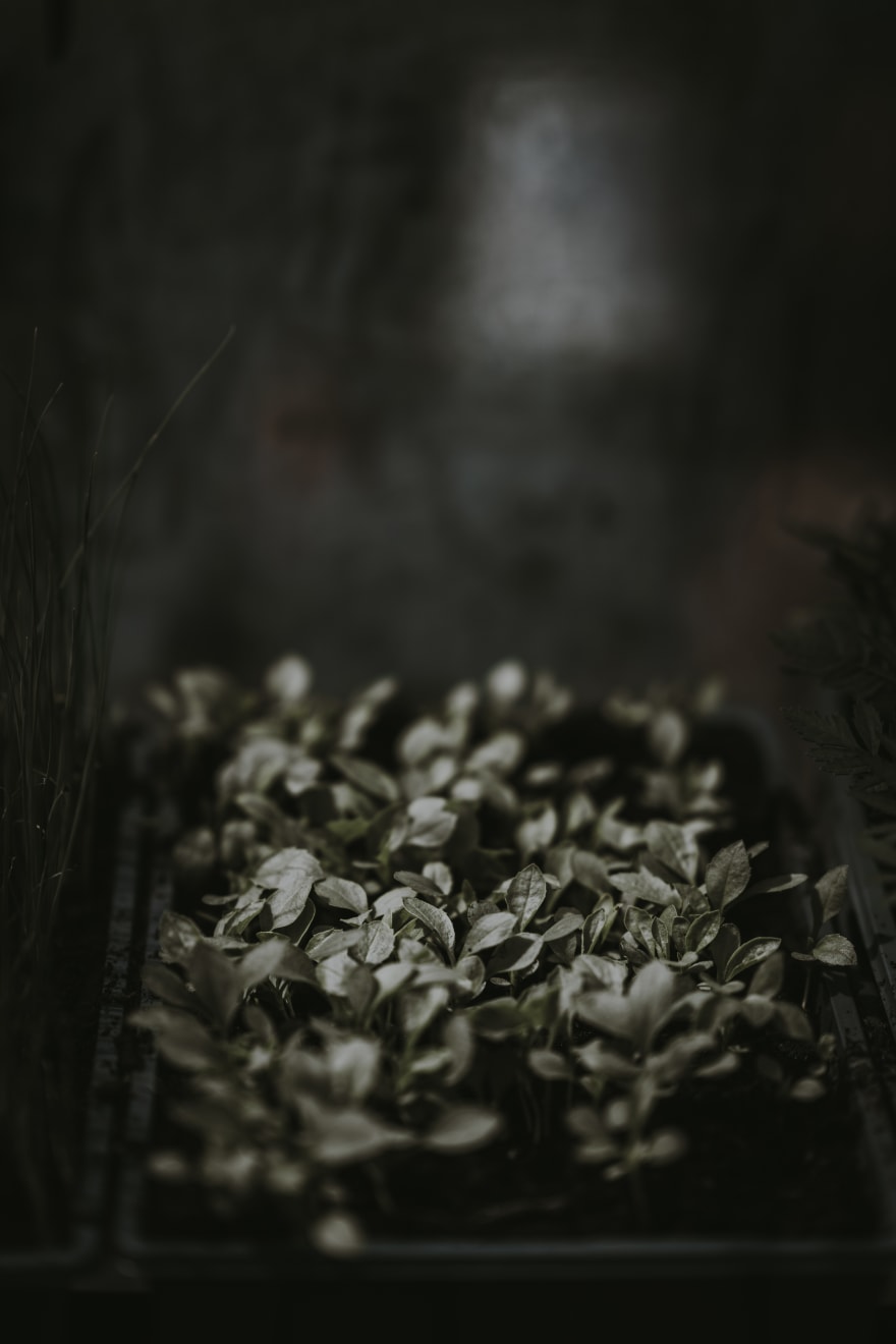 Katrina Forrest, Untitled, 2013