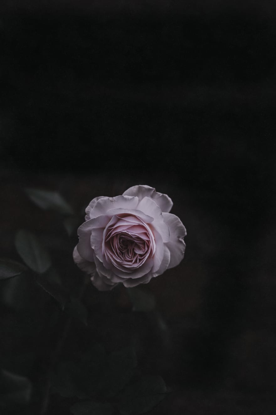 Katrina Forrest, Untitled, 2013