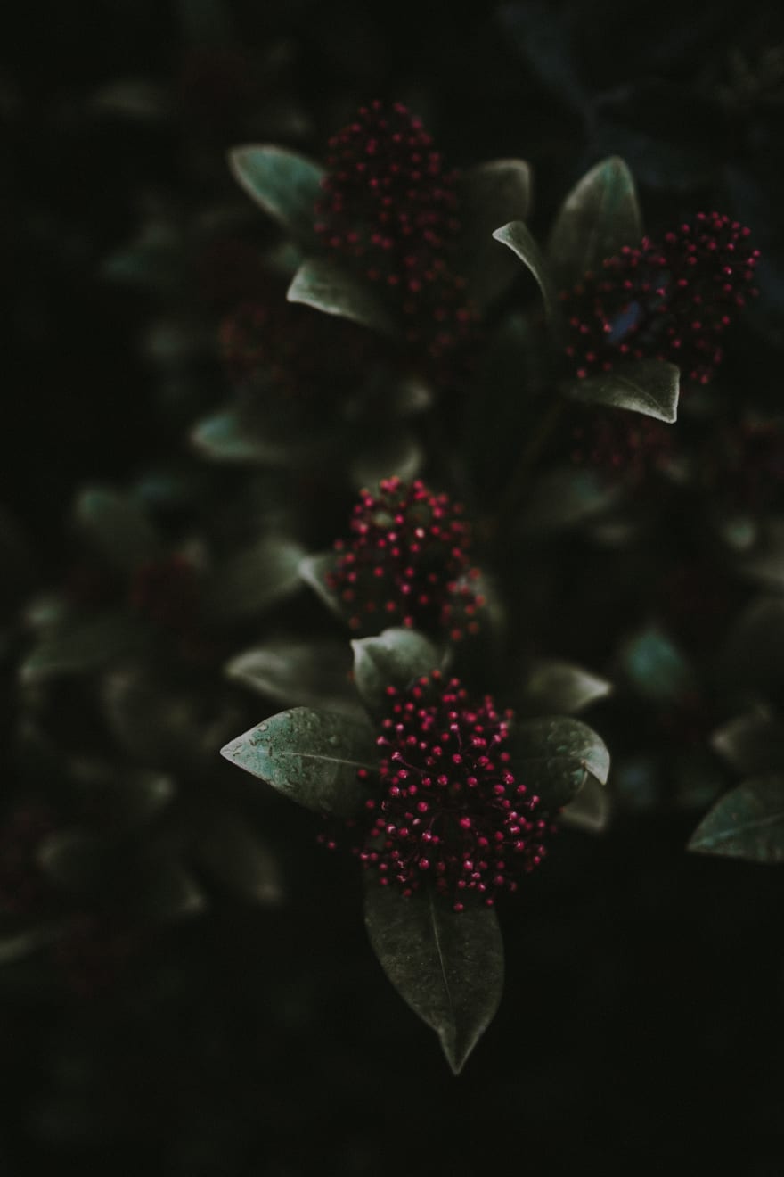 Katrina Forrest, Untitled, 2013