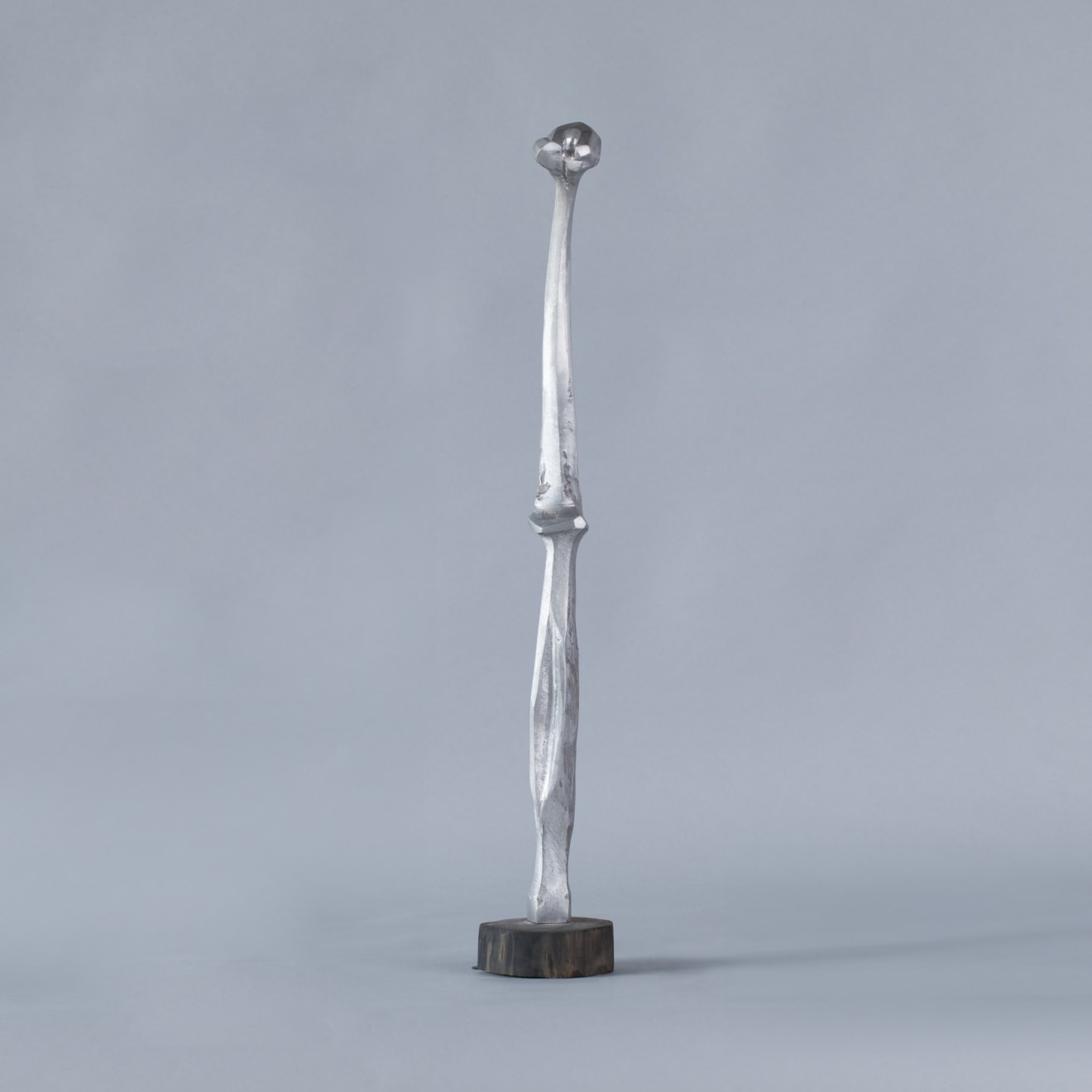 Austin Wright, Seed Head, c.1980