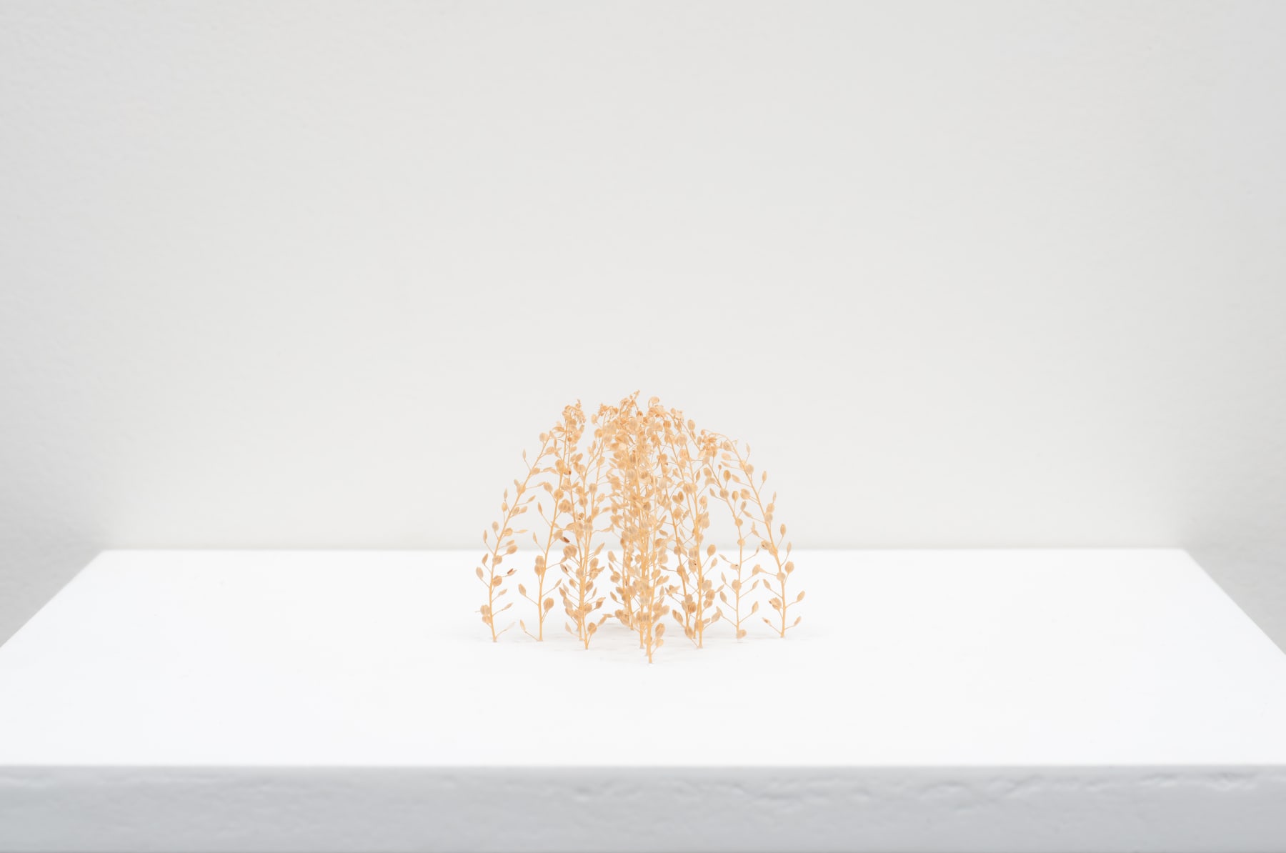 Christiane Löhr, Kleine Kuppel (Little Dome), 2016