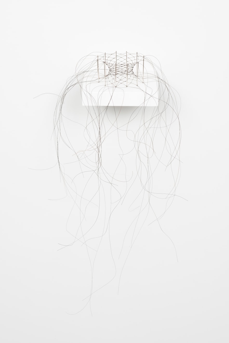 Christiane Löhr, Haararbeit (Hair Work), 2017