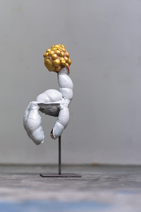 Yi Youjin, Blonde Lama, 2020