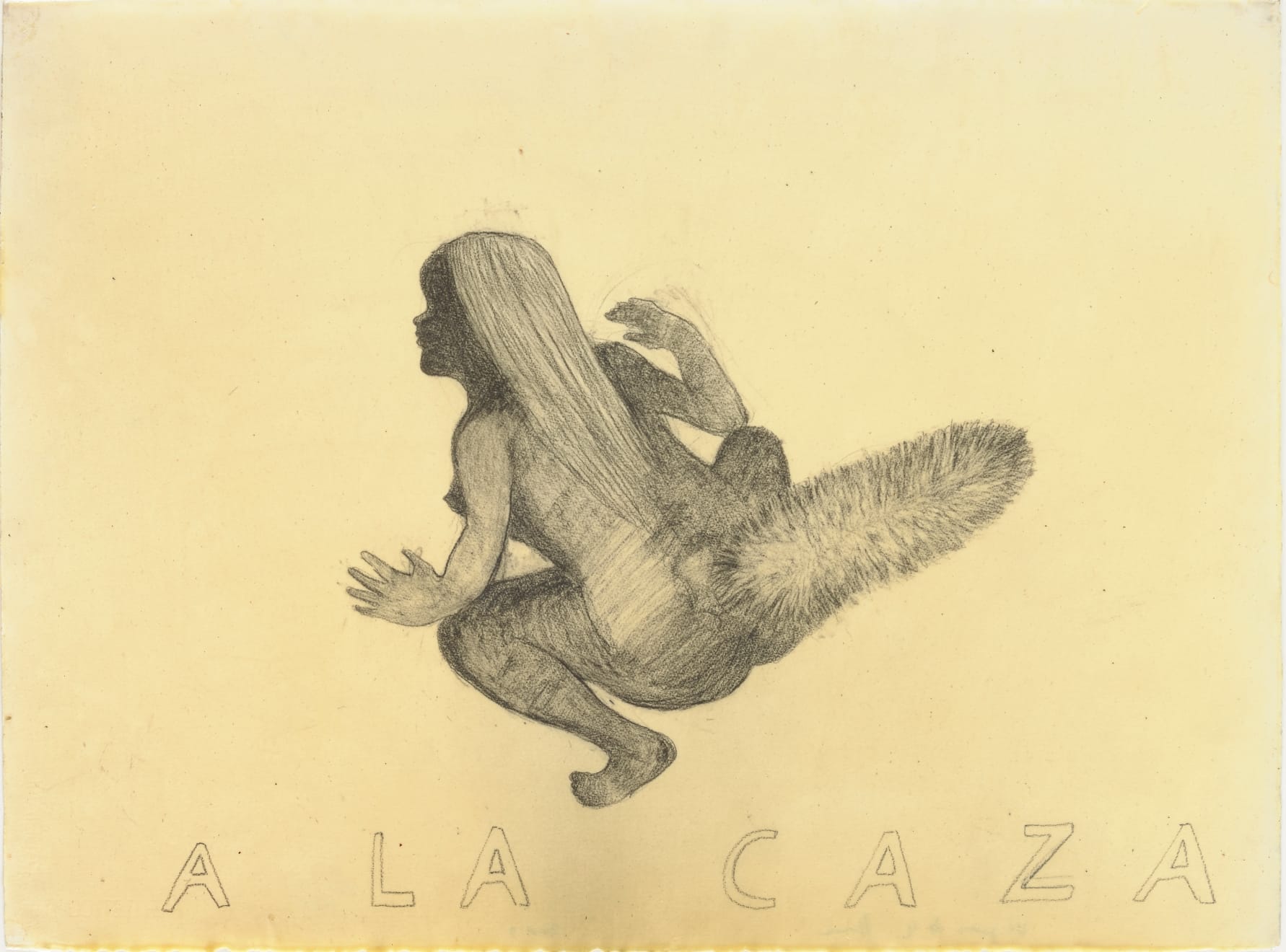 Sandra Vásquez de la Horra, A LA CAZA, 2009