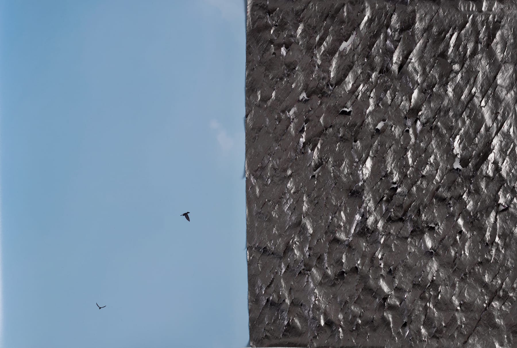 Choi Byung-So, Untitled 0241129, 2024