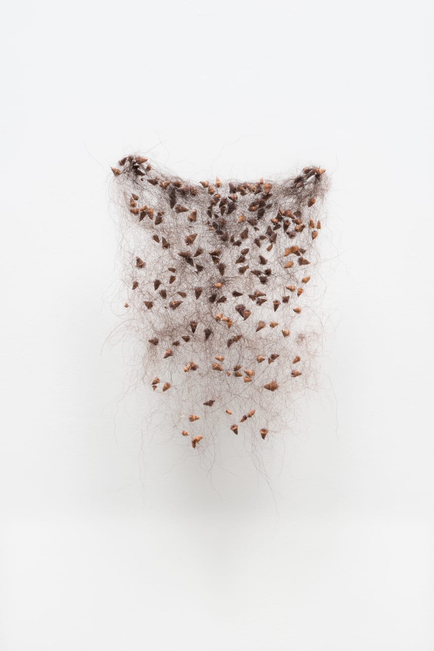 Christiane Löhr, Kleines durchlässiges Flies, 2009