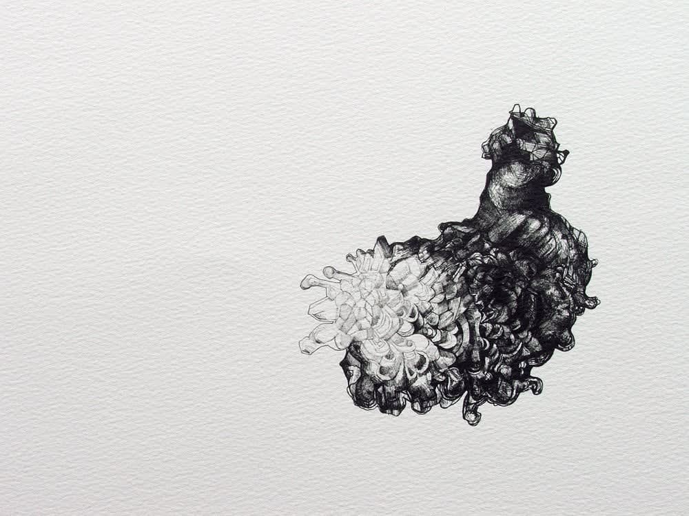 Darren Banks, Blob 1, 2005