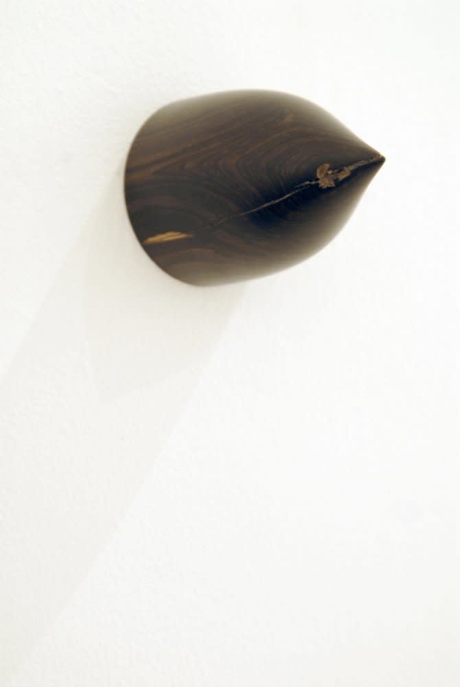 Ashley Hipkin, Tornado, 2008
