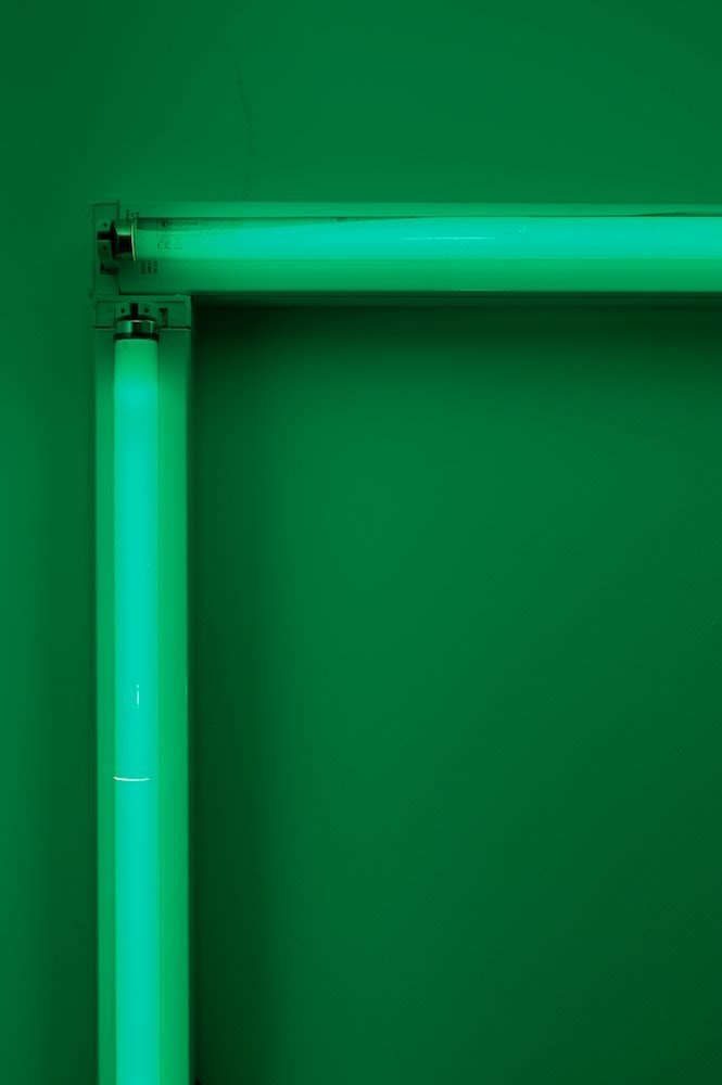 Paul Merrick, Untitled (Green Plate), 2011