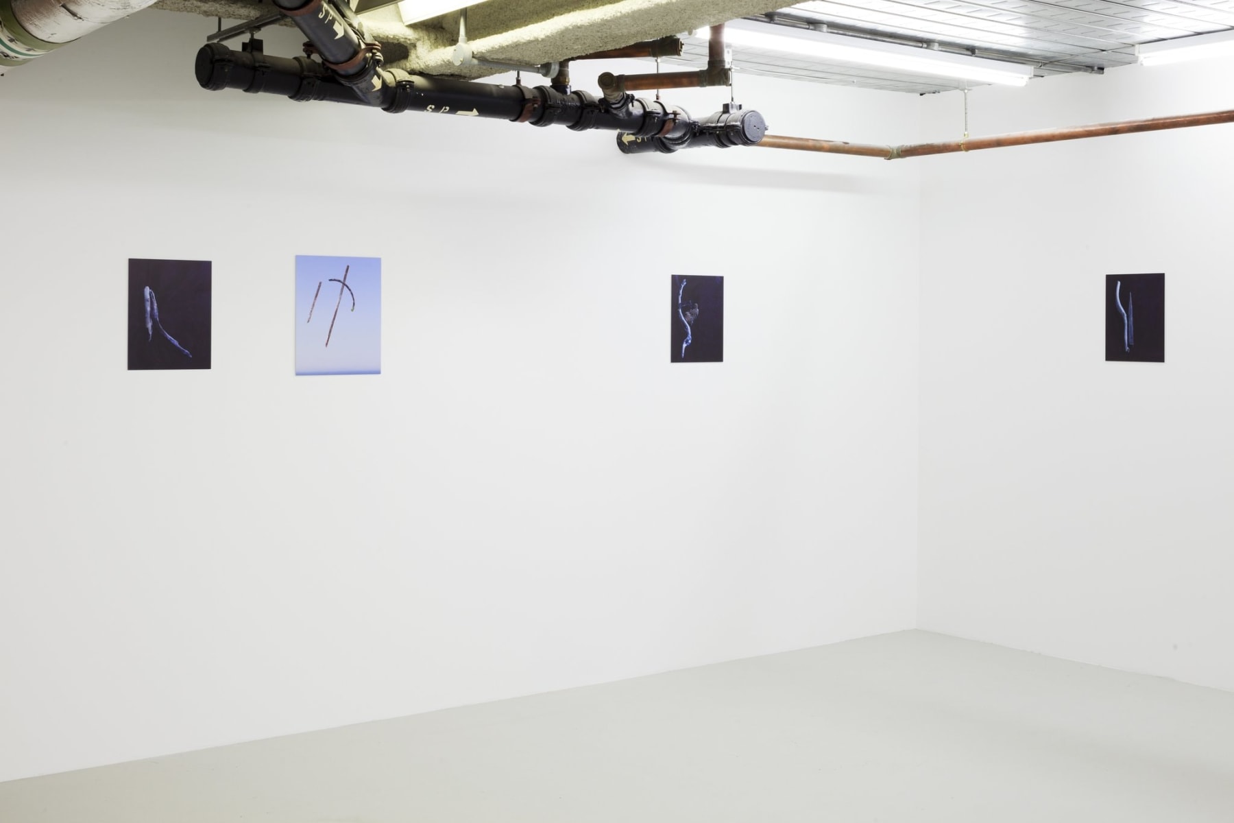 Joe Clark, Every song the same, 2014