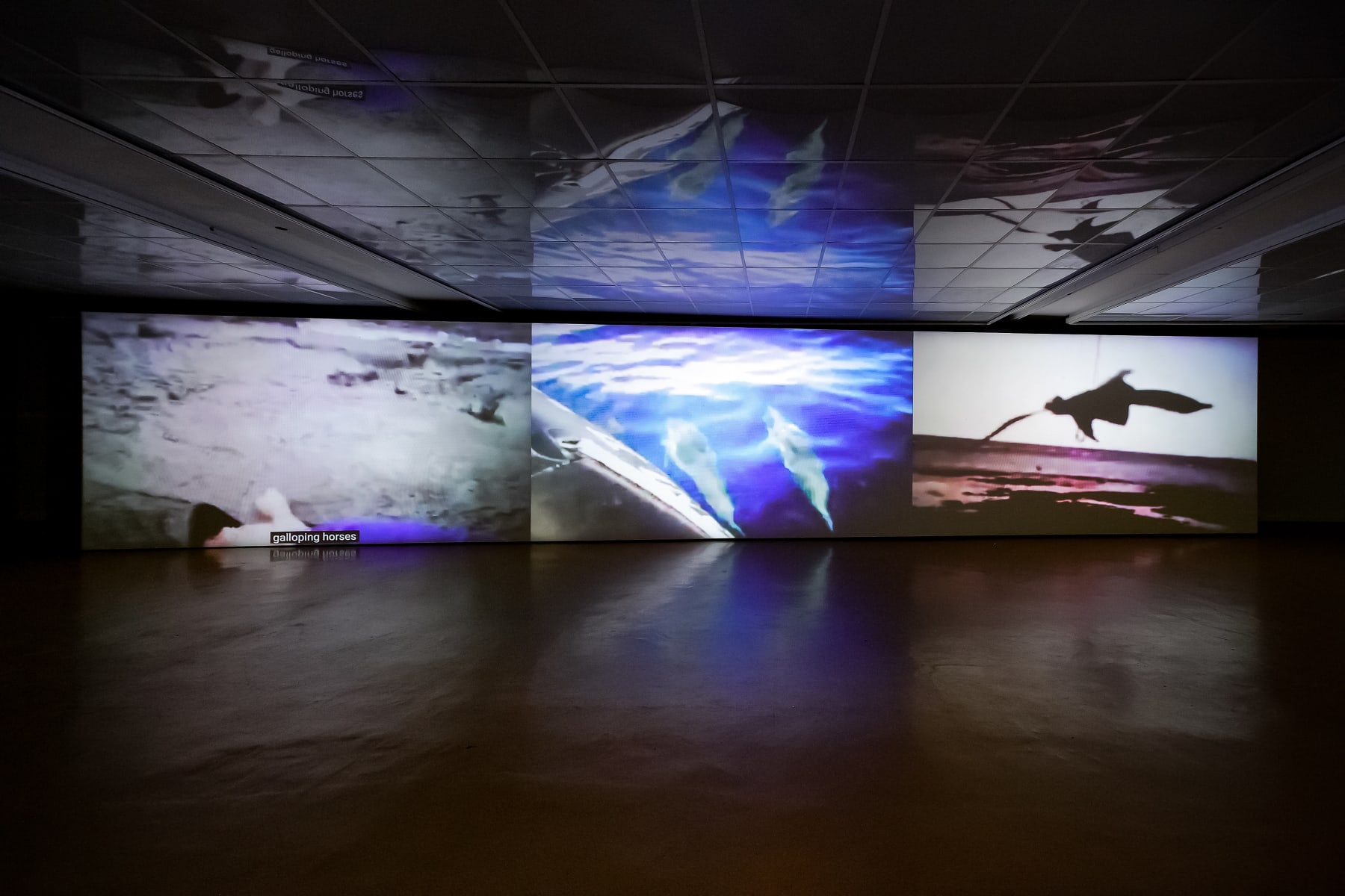 Cath Campbell, To The Valley, 2016