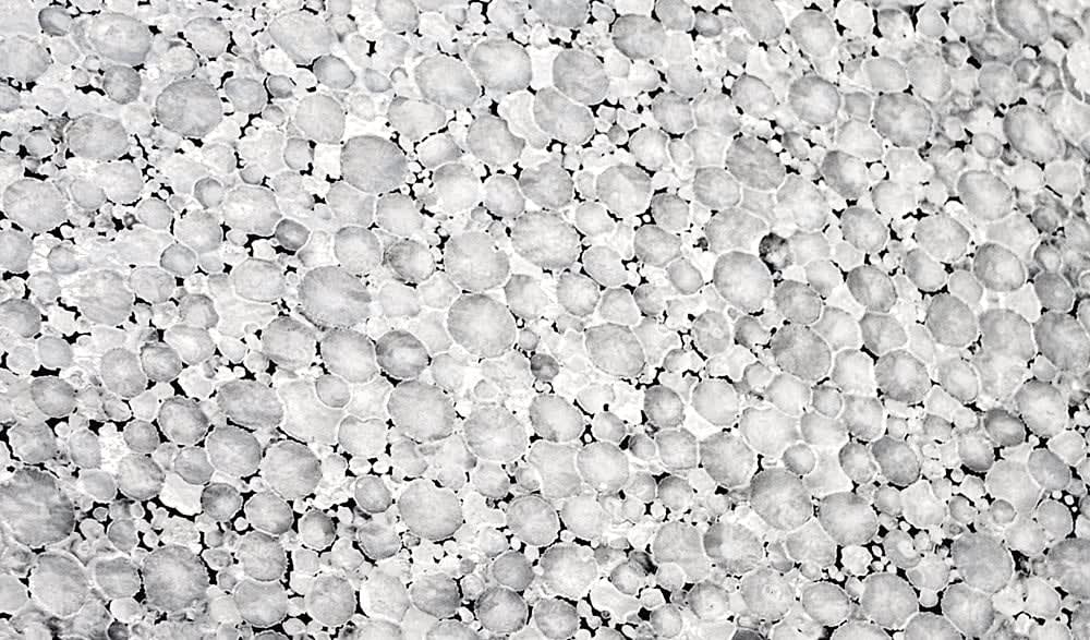 Miles Thurlow, Universe (no.2), 2005