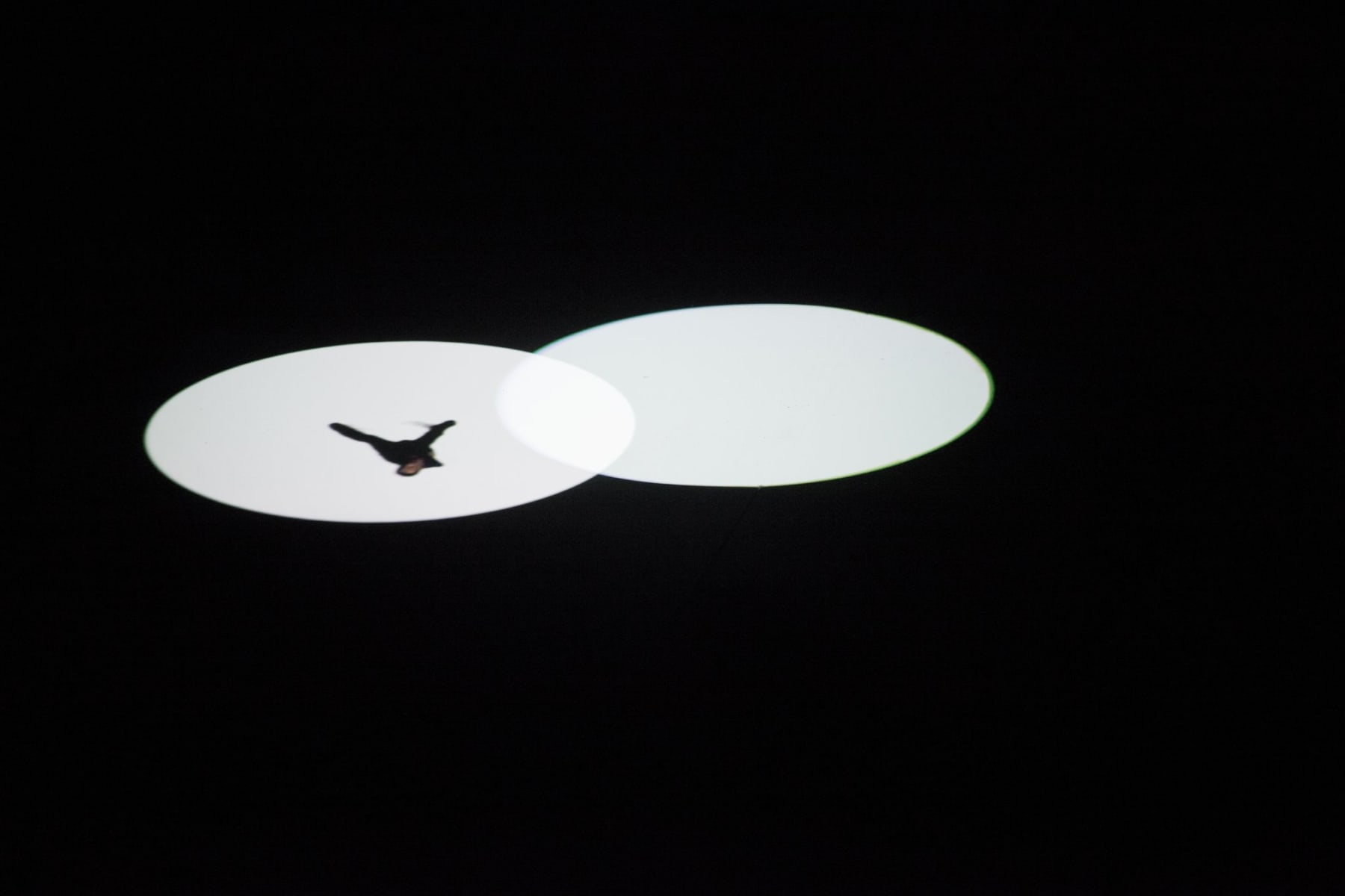 Tanya Axford, The Path Made by a Boat in Sound (3 down), 2012