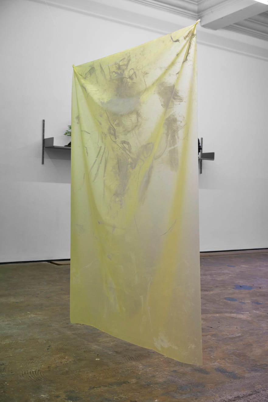 Nicola Singh, within [her] reach (Yellow #2), 2018