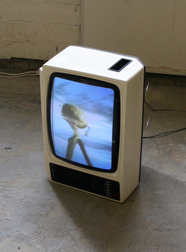 Darren Banks, Public Sculpture/Private Radar, 2008