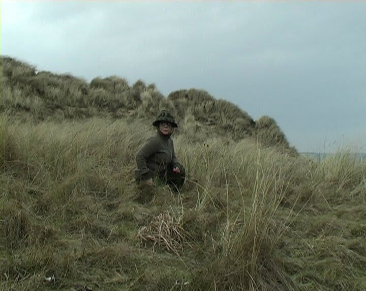 Cecilia Stenbom, Search and Destroy, 2006