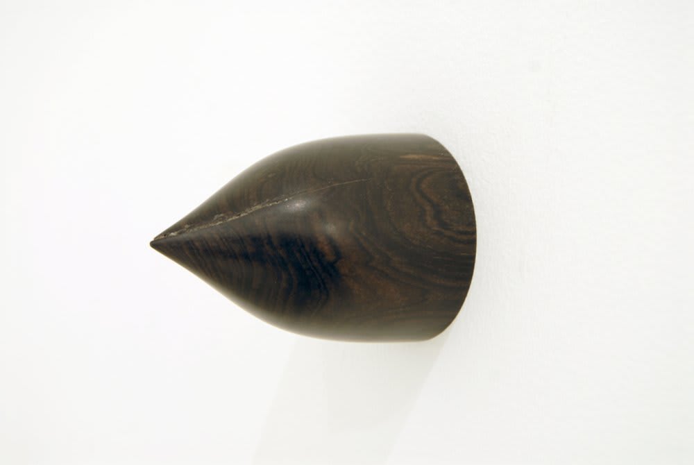 Ashley Hipkin, Tornado, 2008