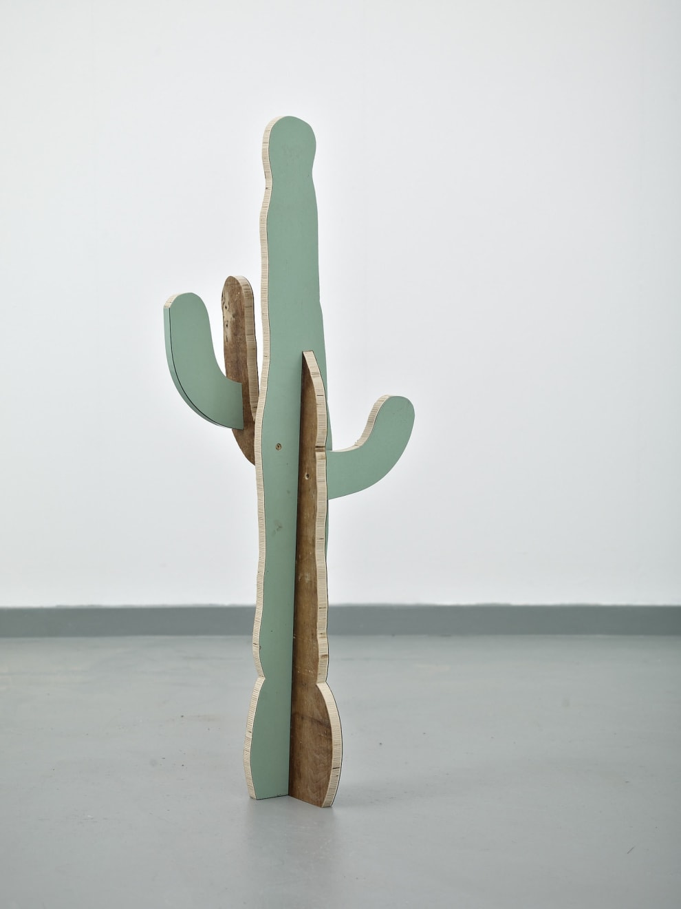 Paul Merrick, Cactus (Saguaro), 2014