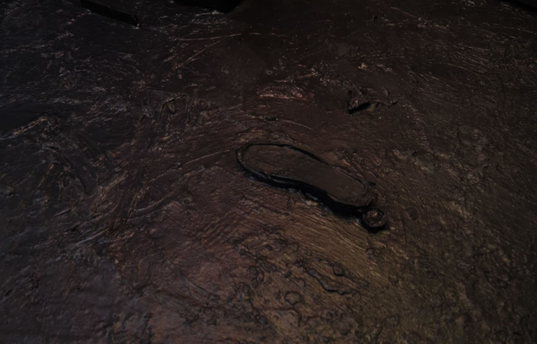 Hugo Canoilas, Lava-grotto, 2016