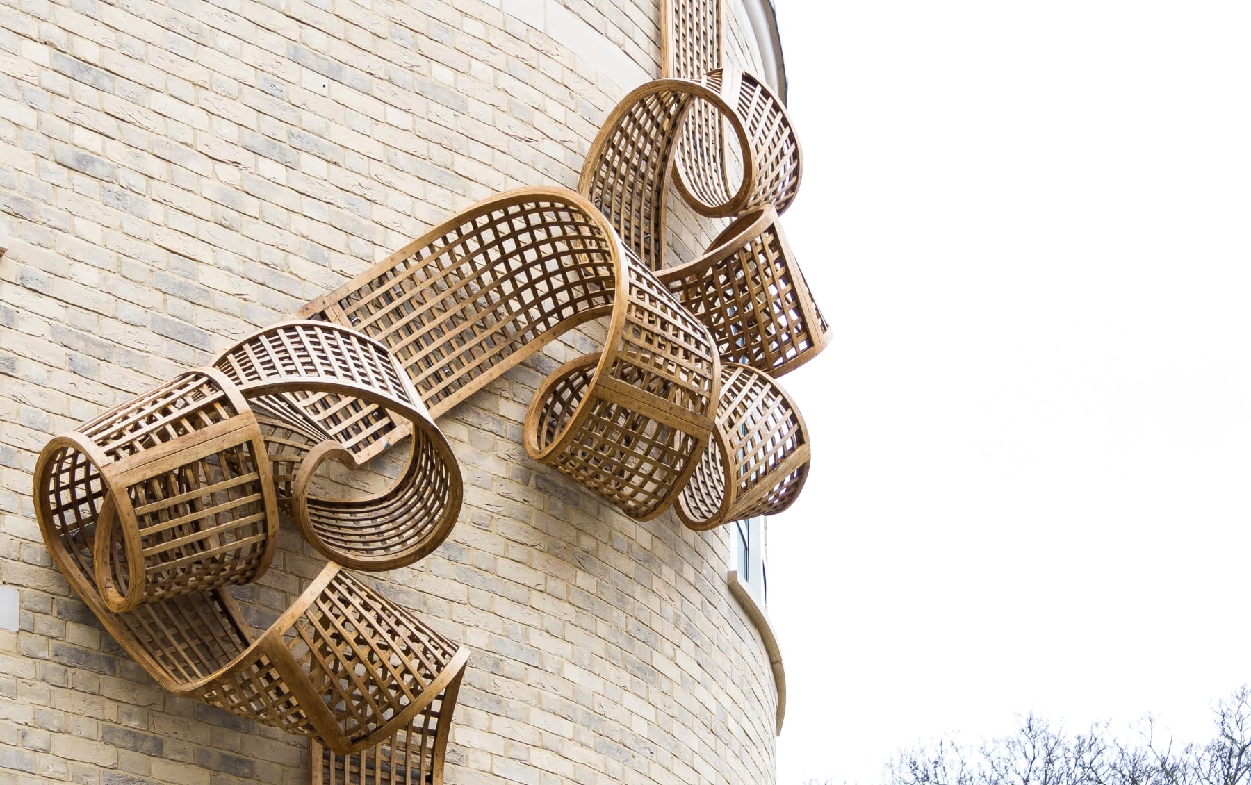Cath Campbell, Trellis, 2016