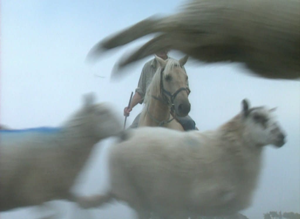 Darren Banks, UNTITLED Shepherd, 2013