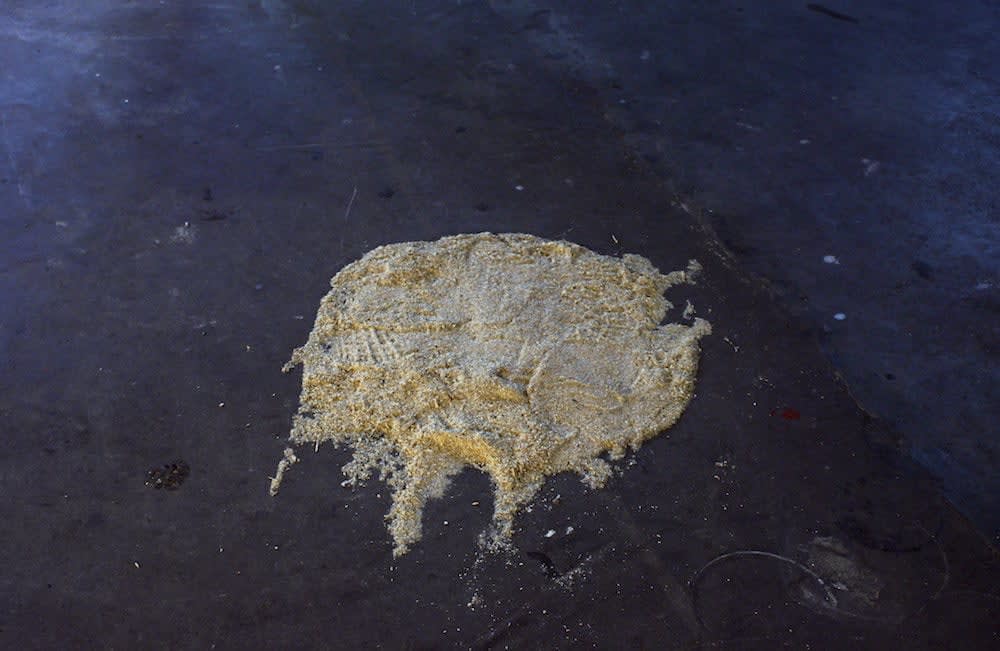Darren Banks, Crowley's Cut, 2010