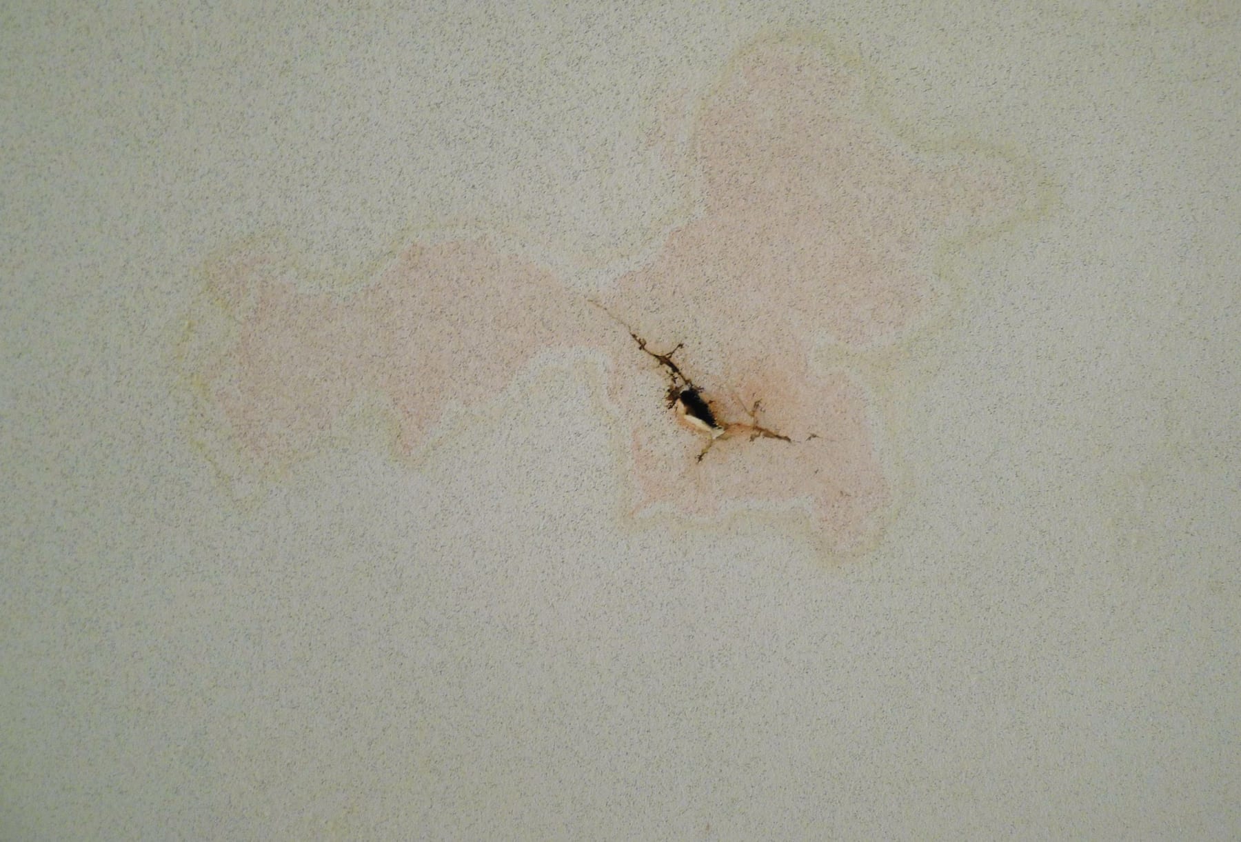 Richard Rigg, This One, The Next, and The One After That, 2009