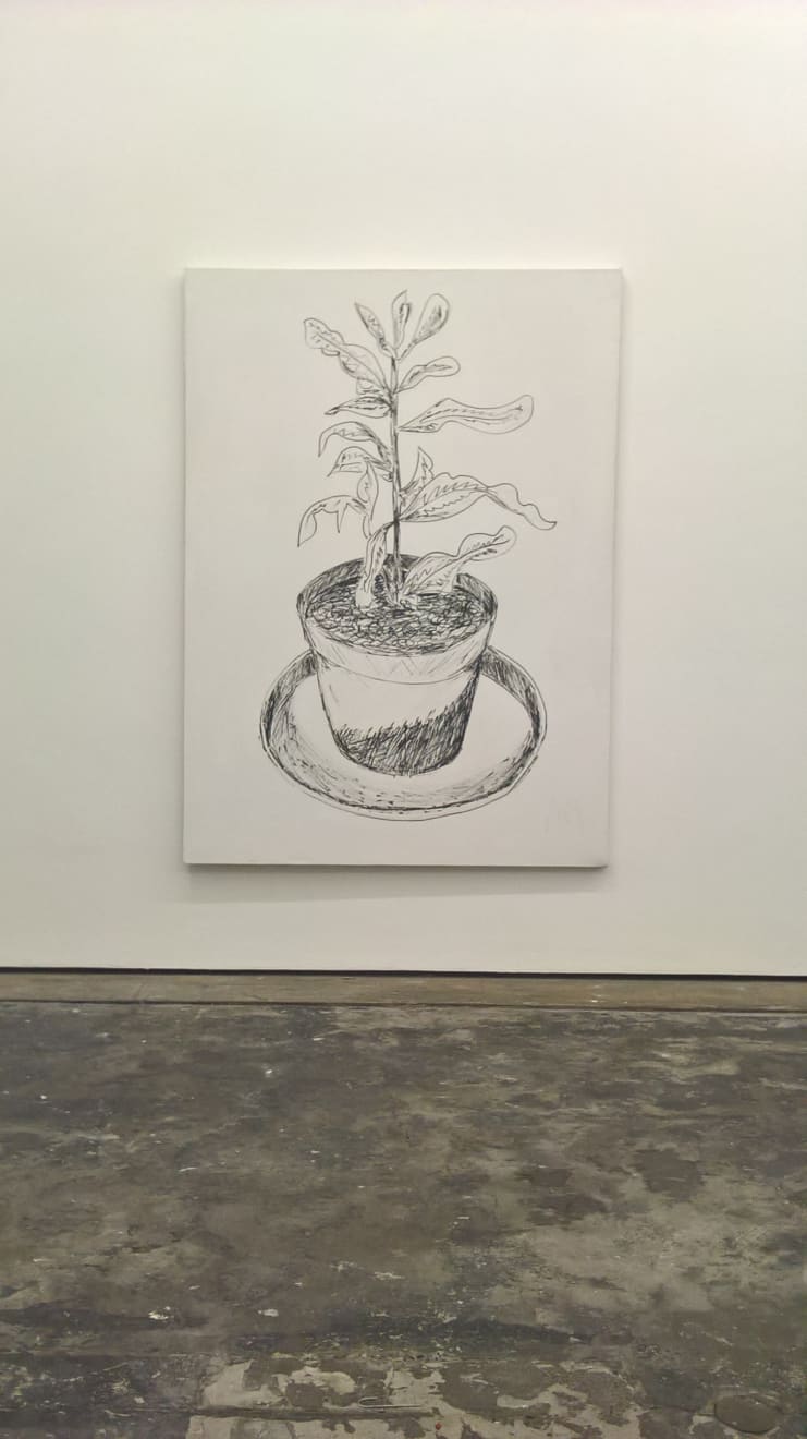 Andrew Maughan, Plant, 2013