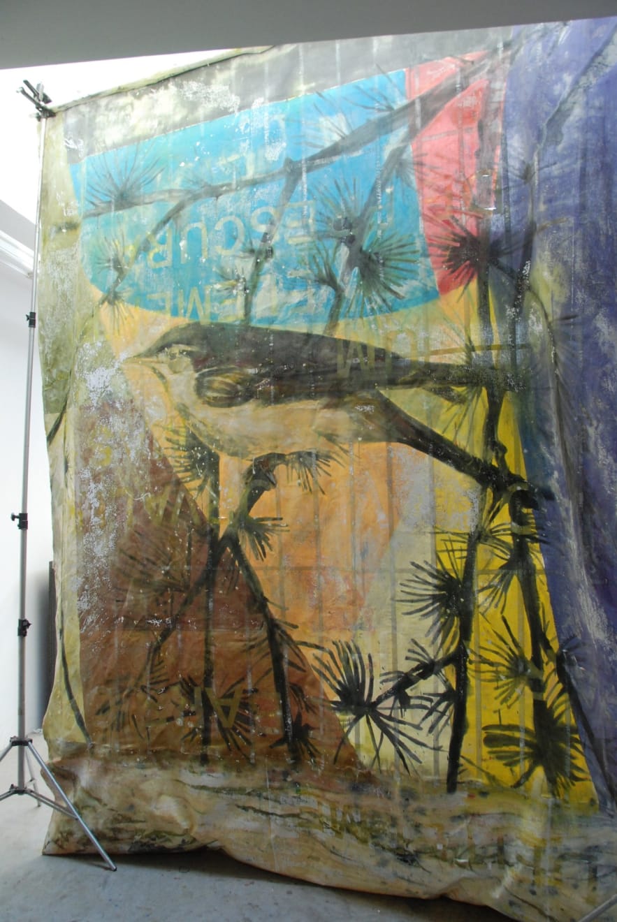 Hugo Canoilas, Rudolph Steiner in a cage, 2014