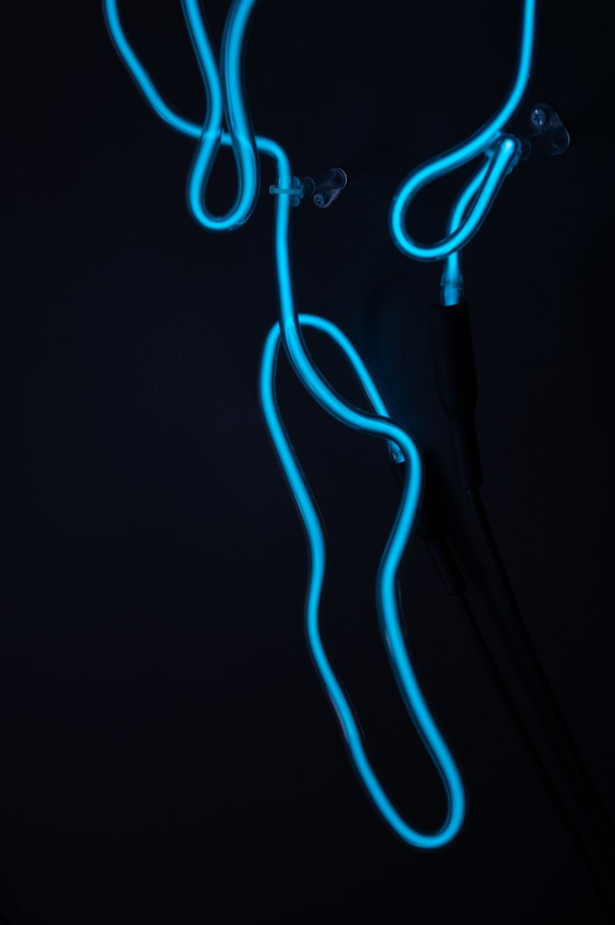 Annesta Le, Fluid Forms I, 2023