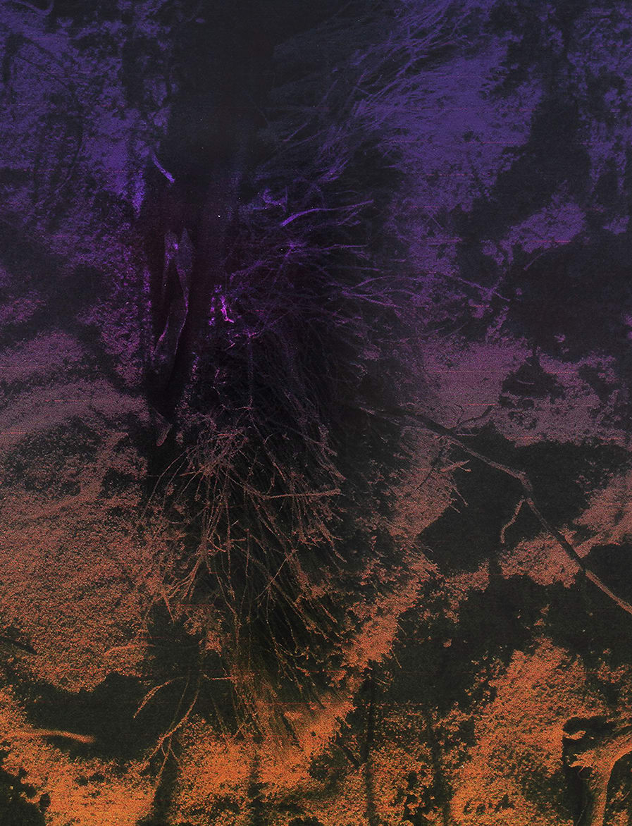 Lionel Cruet, Dusk / Daybreak 5, 2020