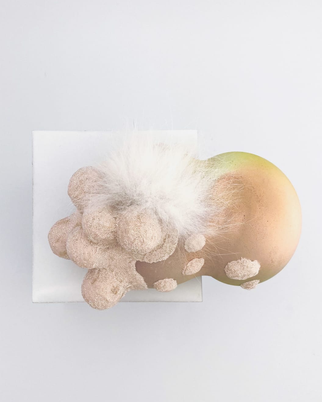 Kate Casanova, Nodular Recline, 2022