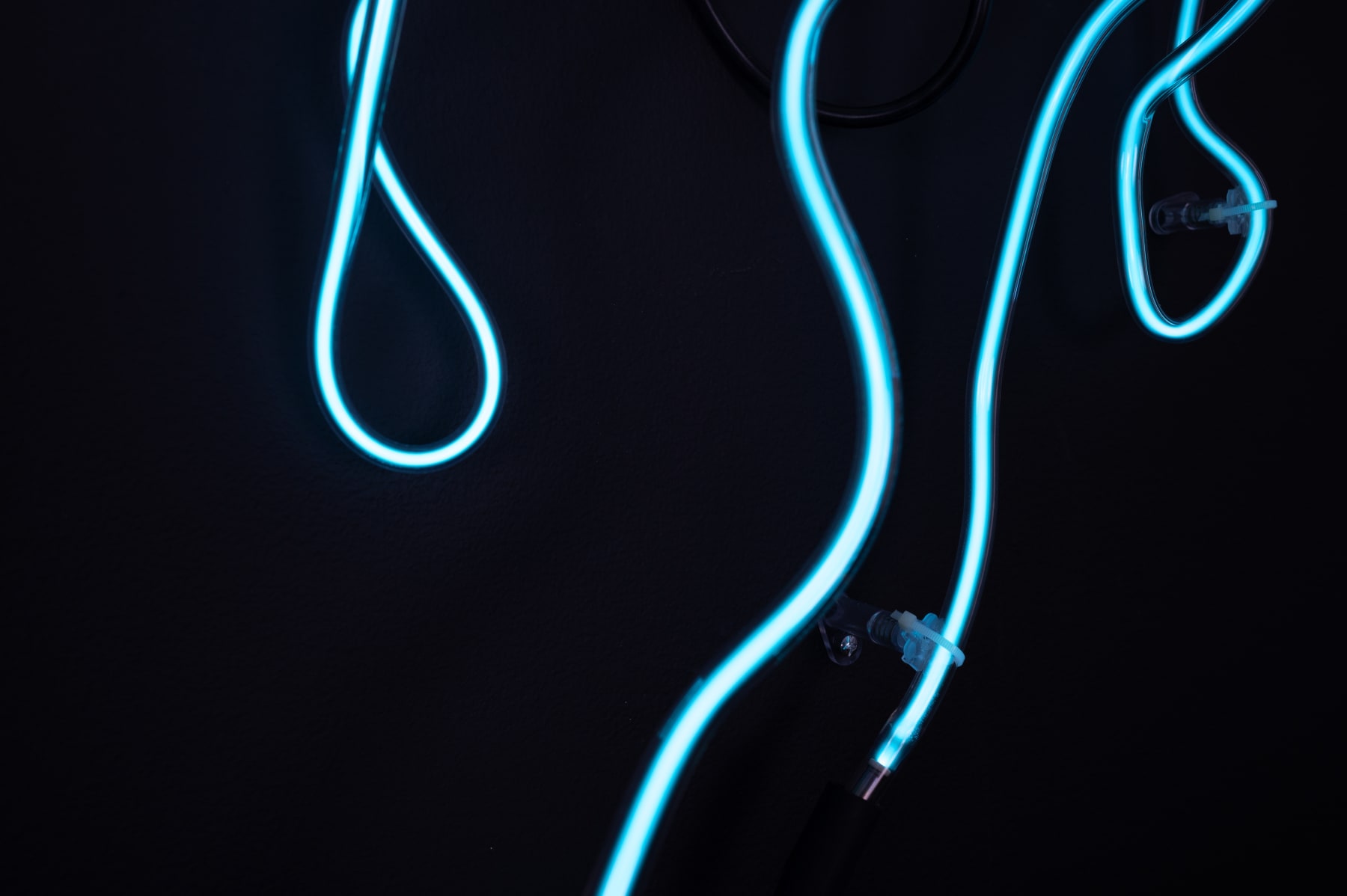 Annesta Le, Fluid Forms III, 2023