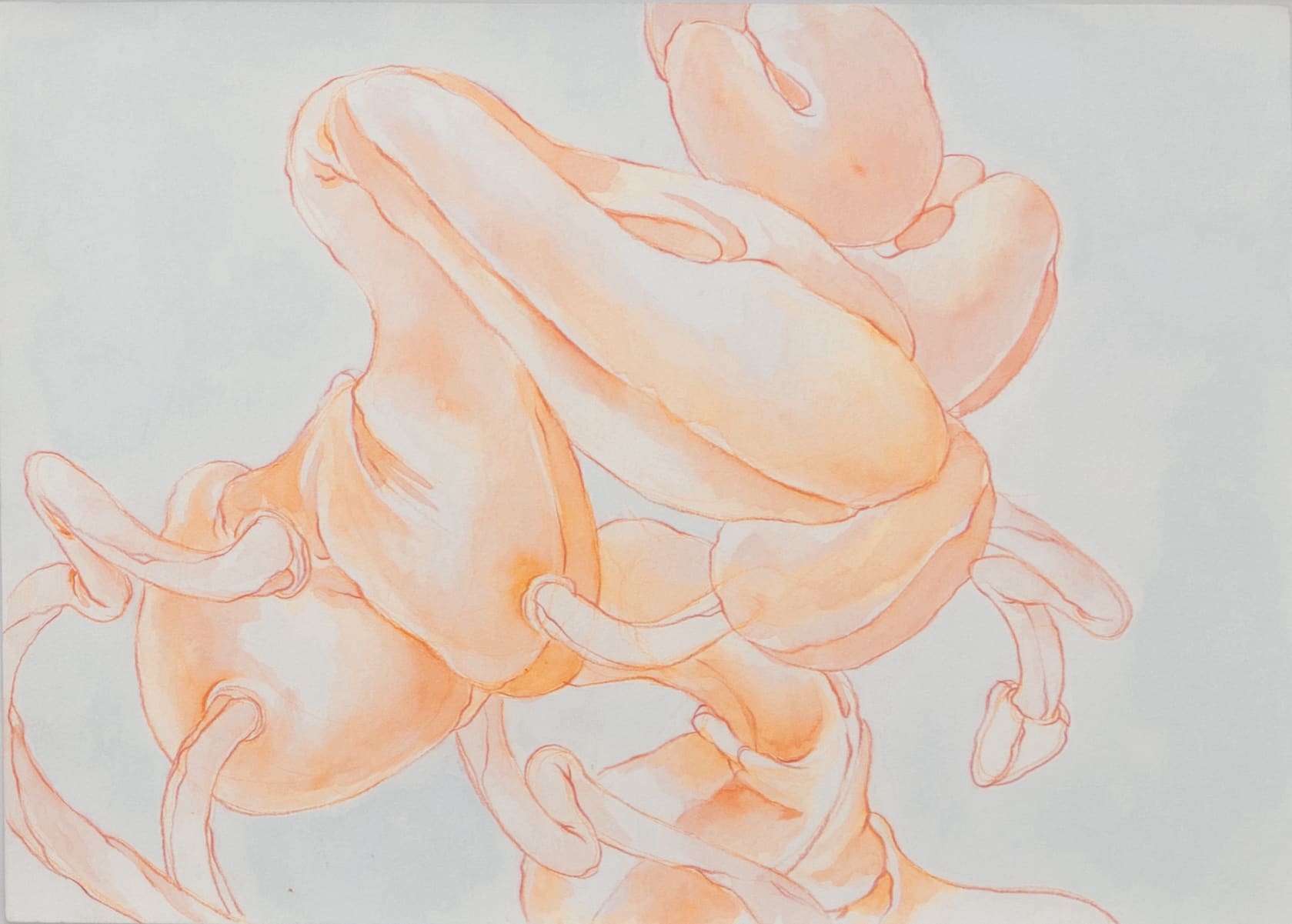 Juanita Lanzo, Untitled #9 , 2015