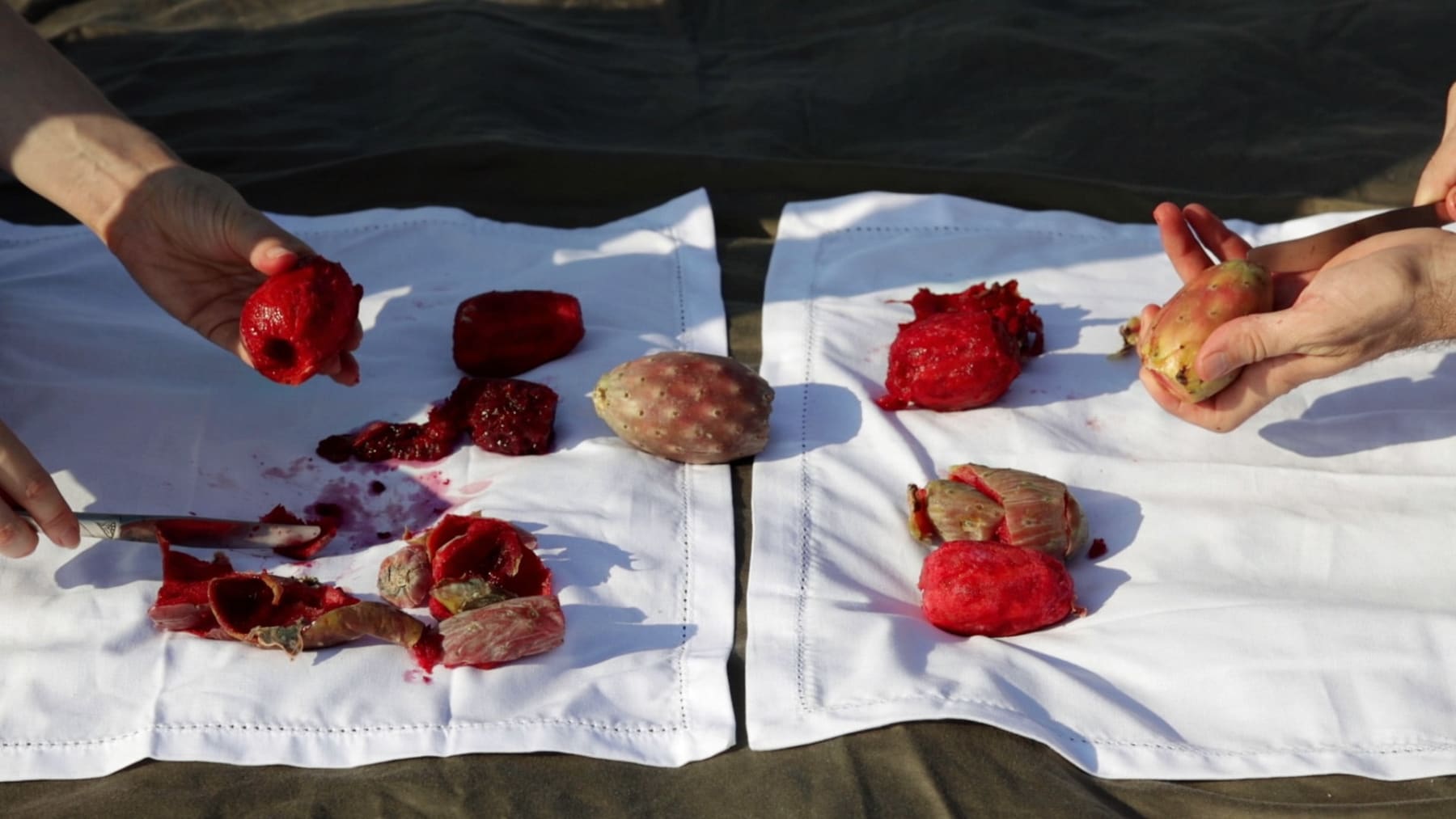 Jenny Rafalson, Sunset's Burning Late, 2020