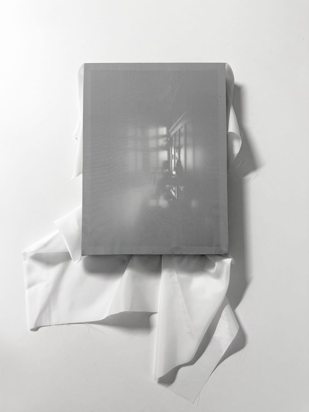 Sun Young Kang, Memories, Veiled VI, 2024