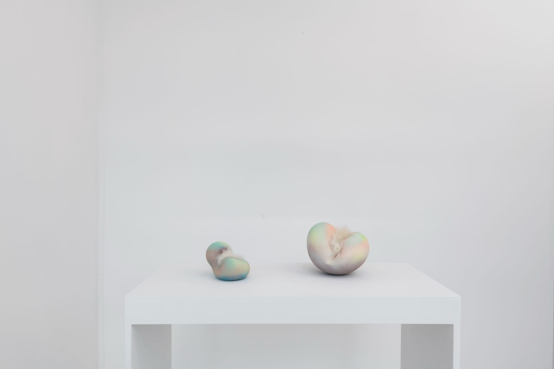 Kate Casanova, Cochlear Crush, 2022