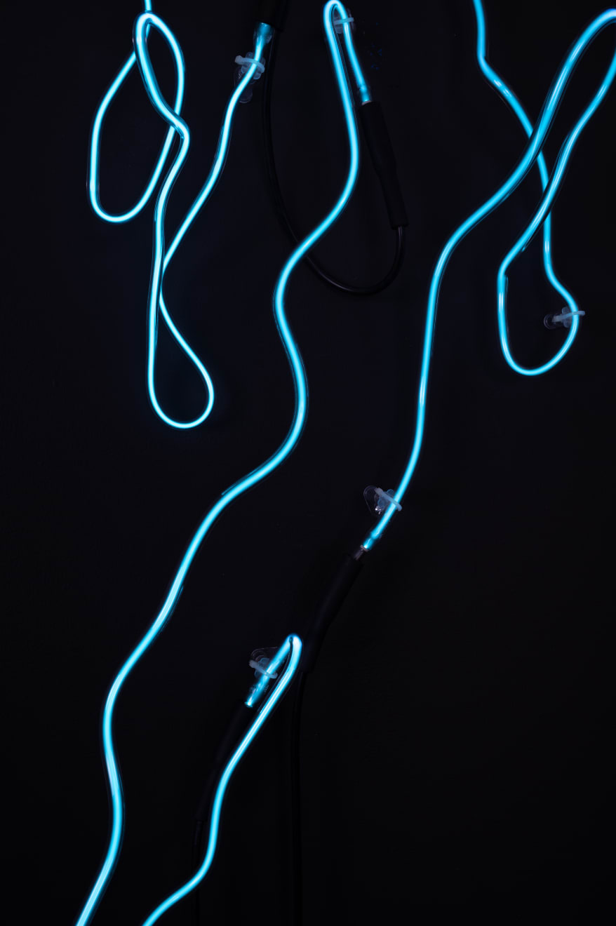 Annesta Le, Fluid Forms III, 2023