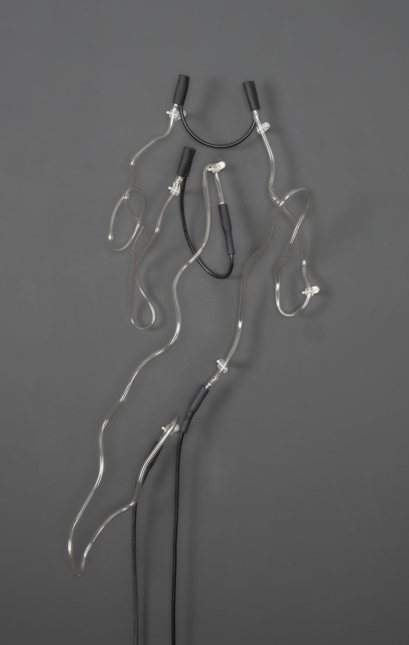 Annesta Le, Fluid Forms III, 2023