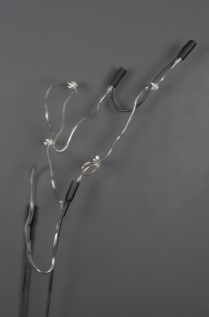 Annesta Le, Fluid Forms I, 2023