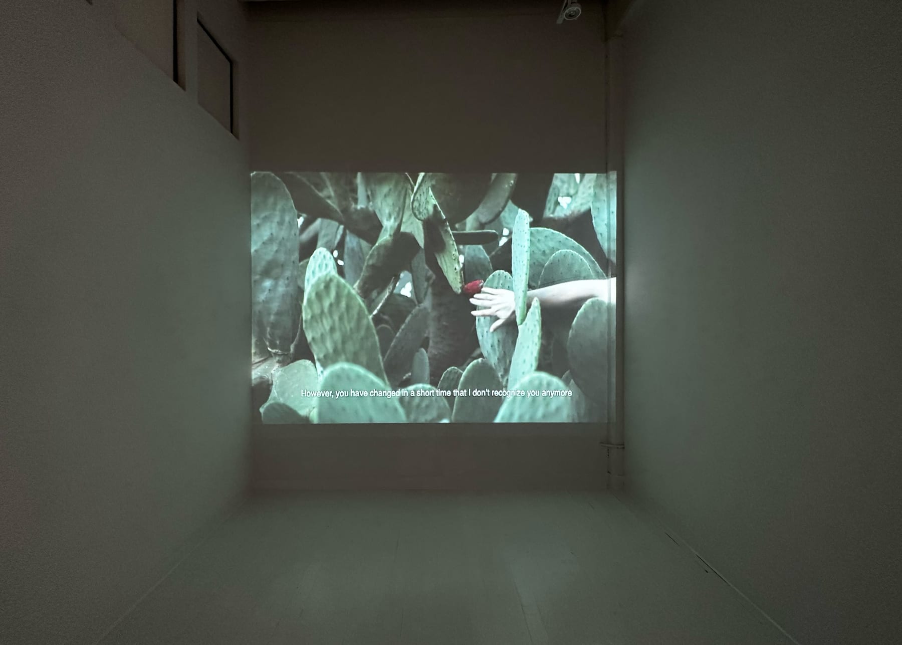Jenny Rafalson, Sunset's Burning Late, 2020