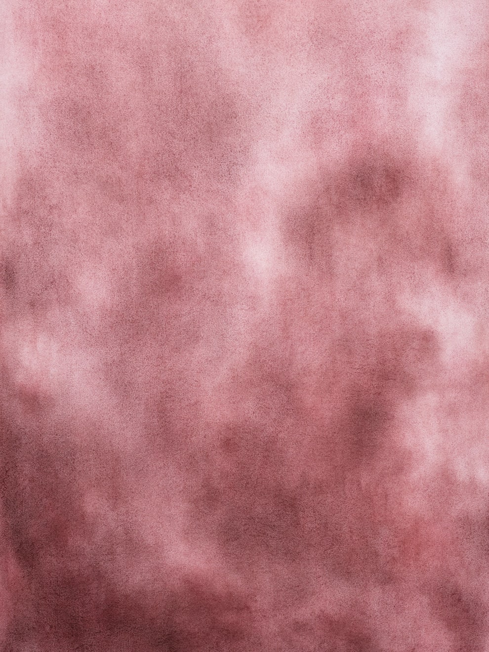 Margrethe Aanestad, Silent Transition VIII, 2023