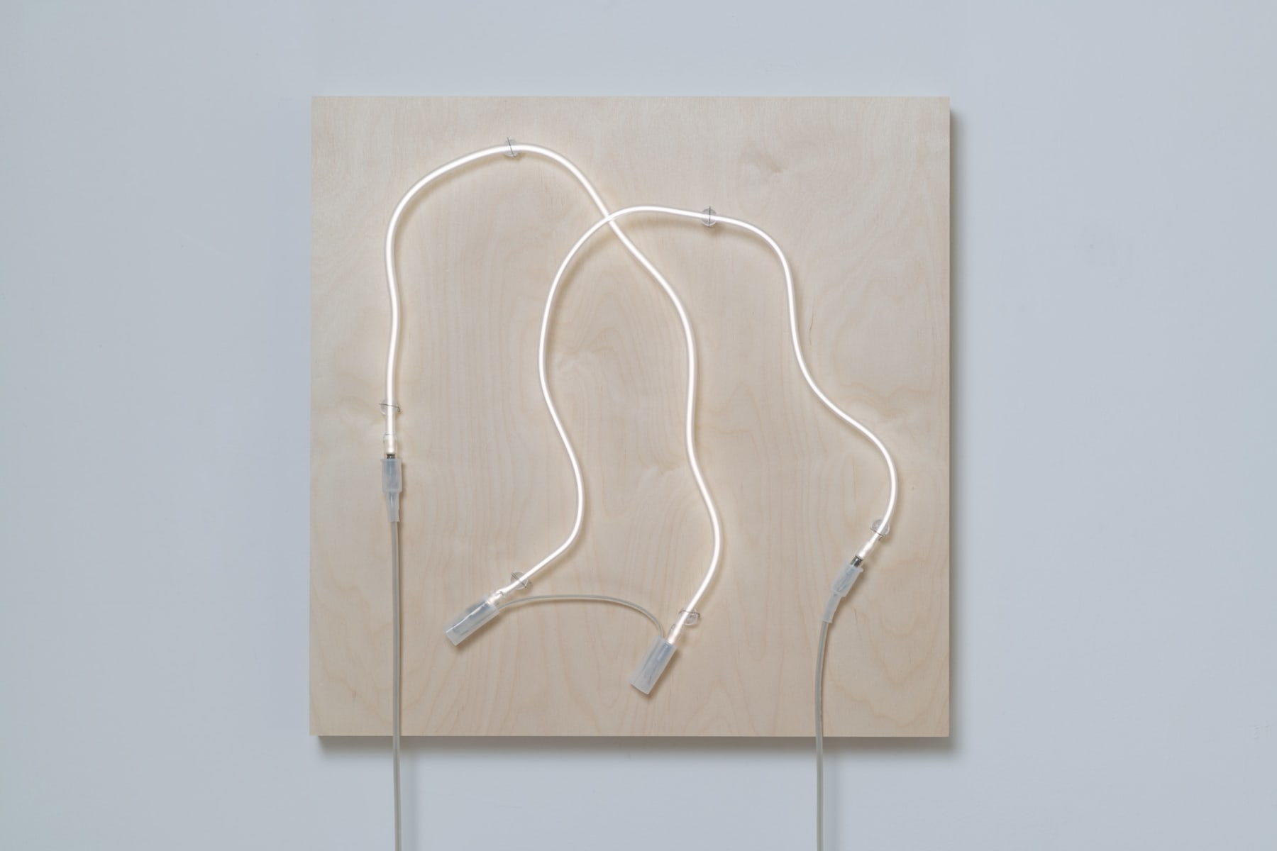 Annesta Le, Exposed Form No.4, 2019