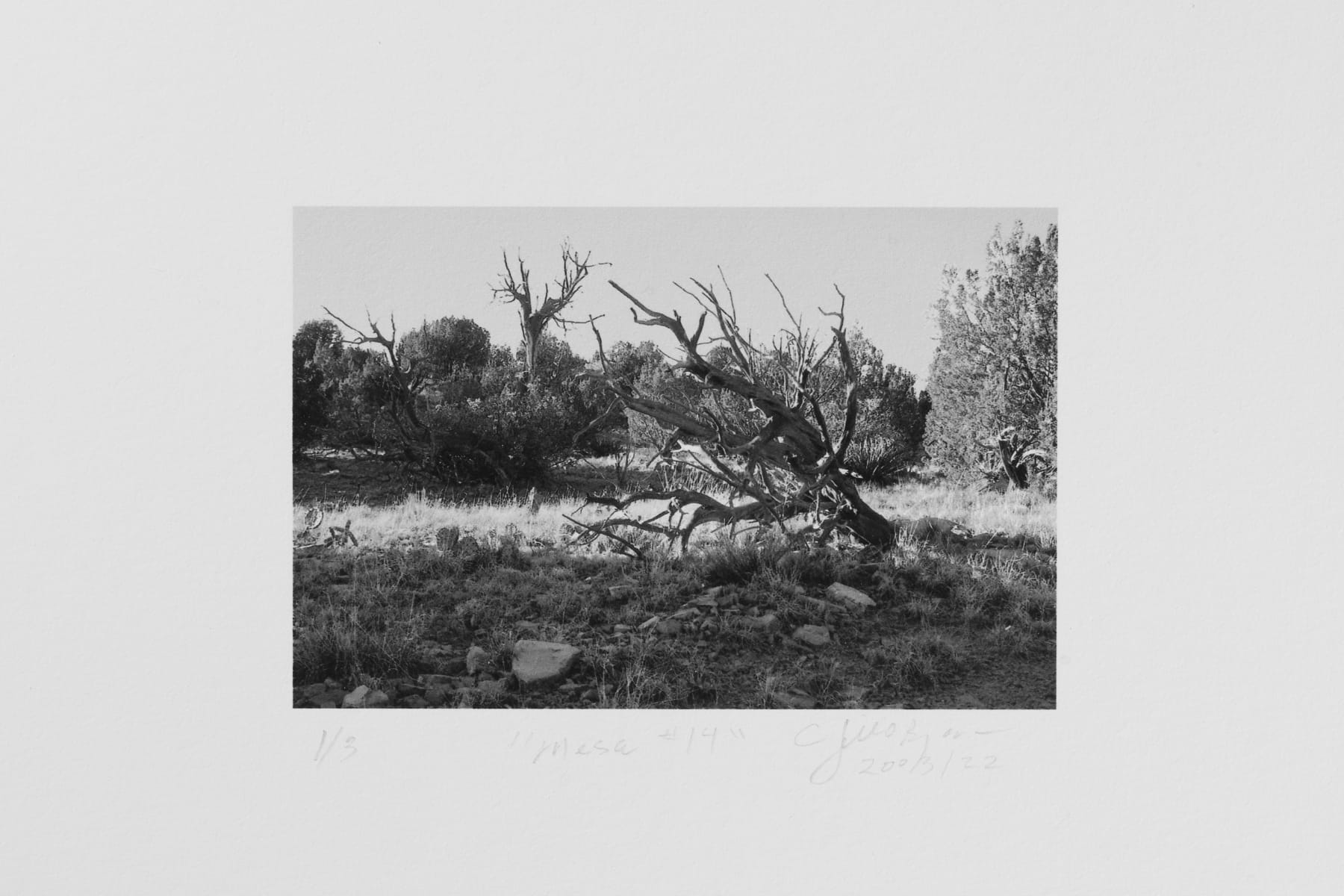 Jill O'Bryan, Mesa #14, 2021