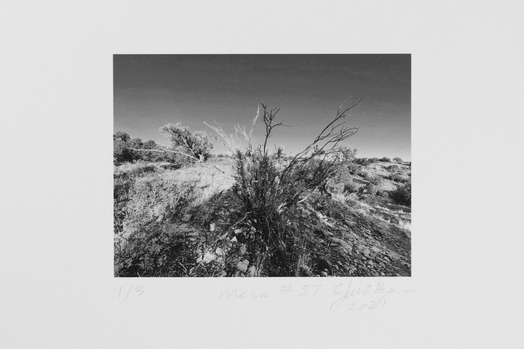 Jill O'Bryan, Mesa #57, 2021