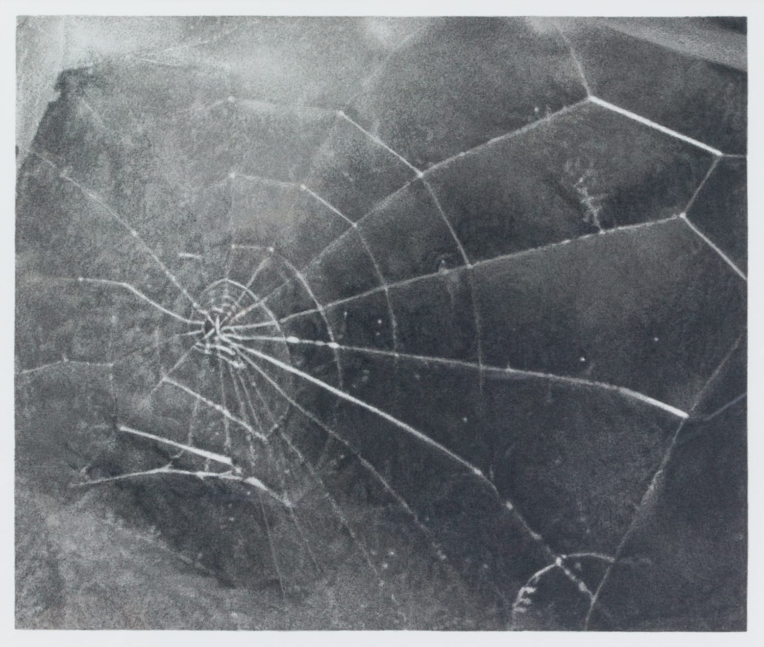 Vija Celmins, Spider Web, 2009