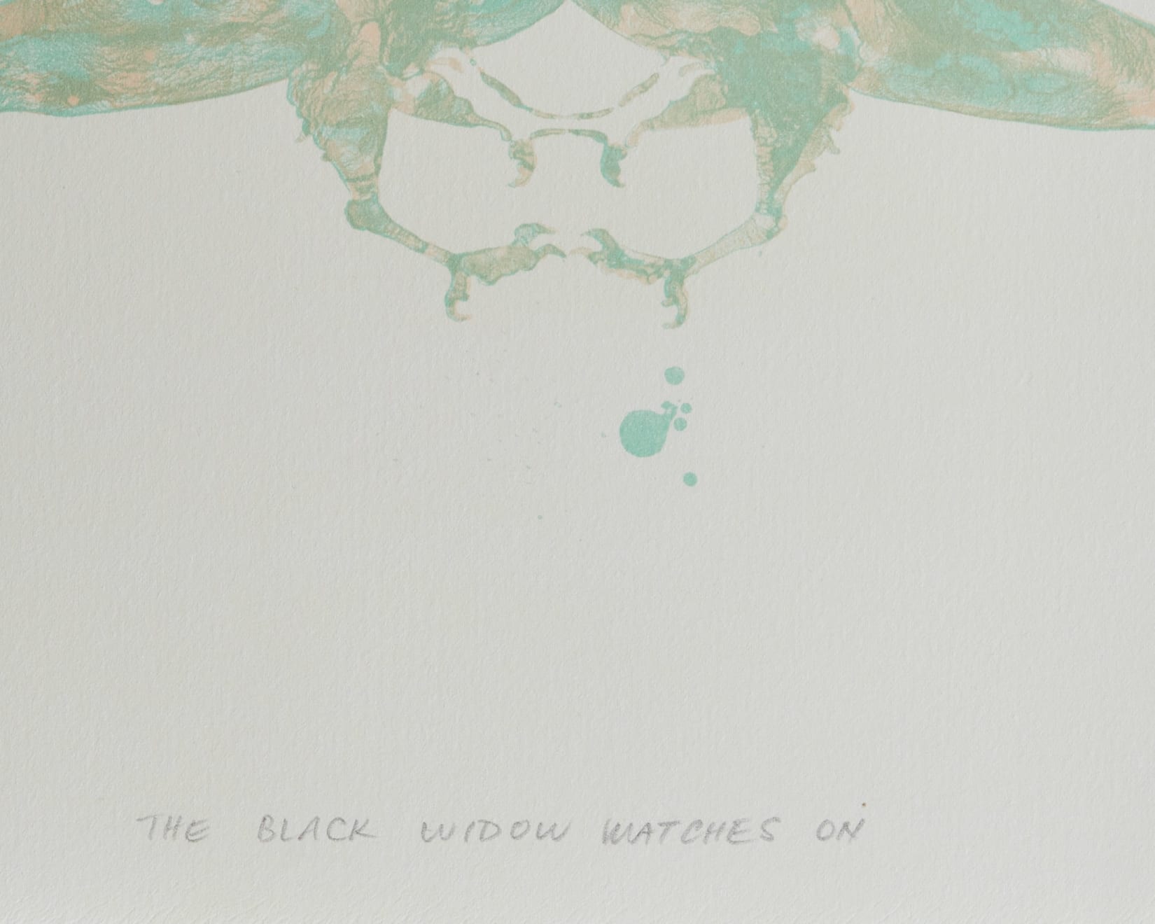 Nusra Qureshi, The Black Widow Watches On, 2016